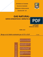 Expo Final Gas