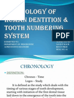 Chronology of Human Dentition & Tooth Numbering System