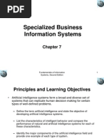 Specialized Business Information Systems