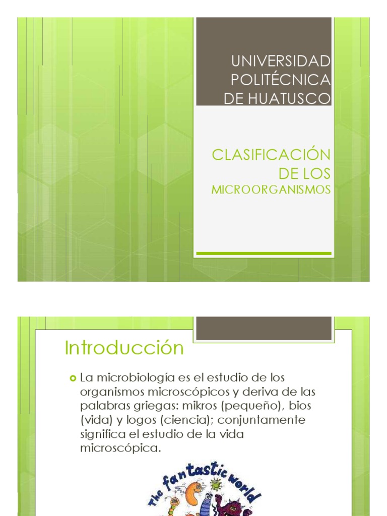 Clasificación de Microorganismos | PDF | Hongo | Eucariotas