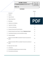 Informe Modelo Analisis Ergonomico de Puesto de Trabajo(1)