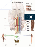 Rule of 4 Illustration