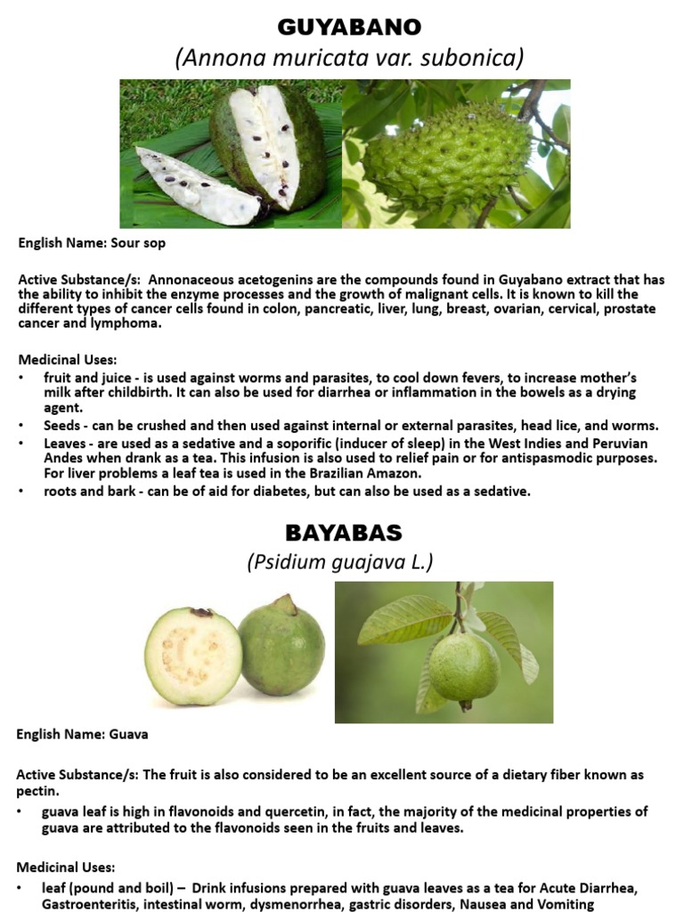 Guyabano And Bayabas Pdf
