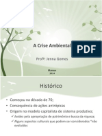 A Crise Ambiental