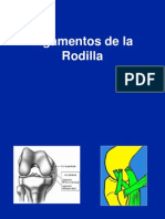 05- A- Ligamentos de La Rodilla