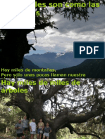 PRESENTACIÓN+1 +Árboles+Monumentales+ASM