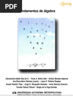 Fundamentos de Algebra