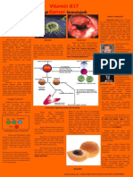 Vitamin B 17 Terapi Kanser Semulajadi Utusan 21 Oktober 2012