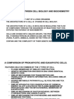 Relationship Between Cell Biology and Biochemistry