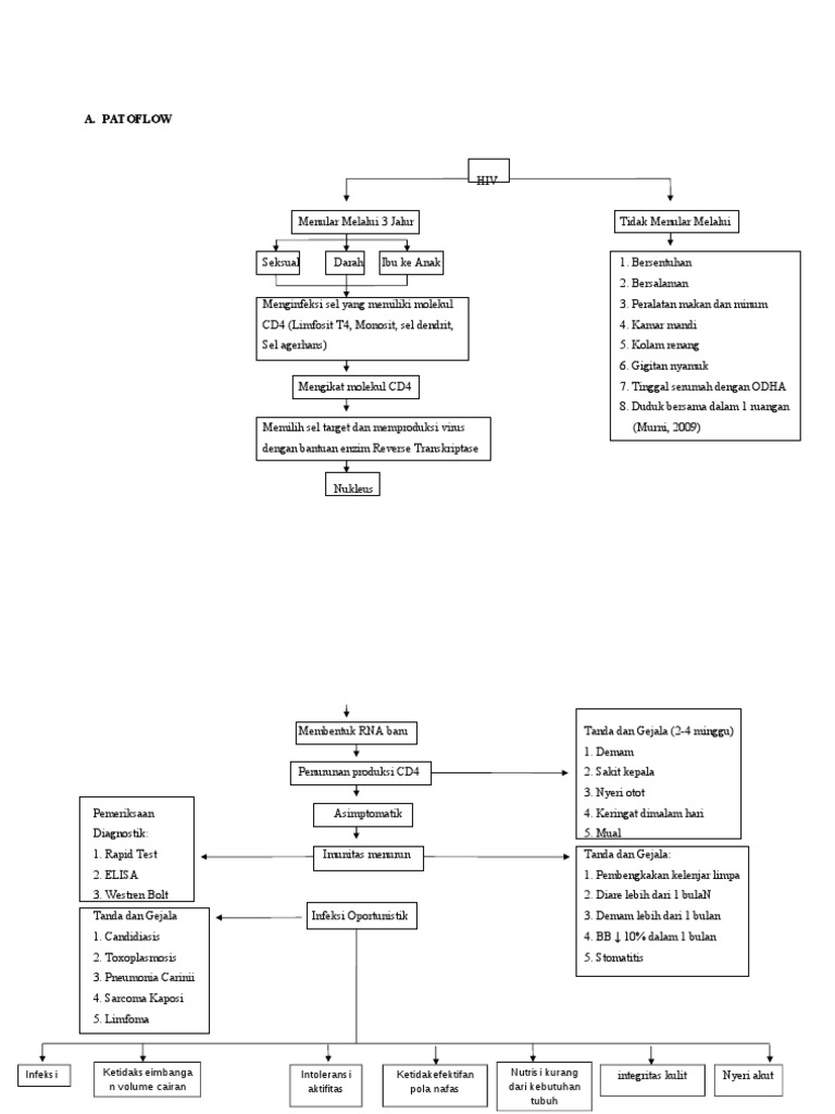 Patoflow Hiv Aids | PDF