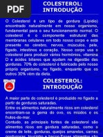 Slides Colesterol