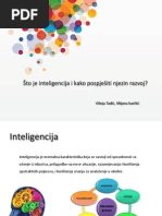 Inteligencija