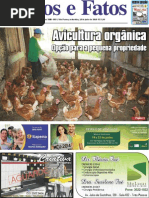 Edição 883 on Line 13 6 14