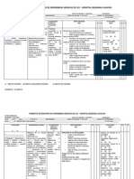 Plan de Cuidados de Enfermeria Uci Hospital Regional Huacho