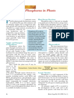 Functions of Phosphorus in Plants