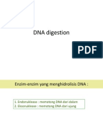 DNA Digestion