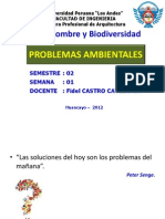 Problemas Ambientales