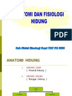 Anatomi Dan Fisiologi Hidung