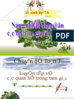 Giao An Dien Tu Chuyen de Cac Quan He Trong Tam Giac - Cuc Hay