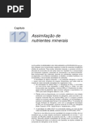 assimilacaodenutrientes_cap12