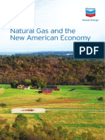 Natural Gas and The New American Economy