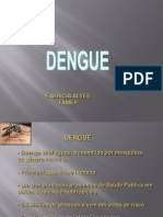 dengue (1)