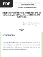 Instituto Federal de Educação, Ciência e Tecnologia