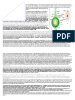 Autopolonización y formación del embrión