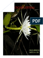 Cactaceae de Guatemala-2 PDF