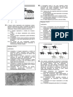 UFPE2013_biologia