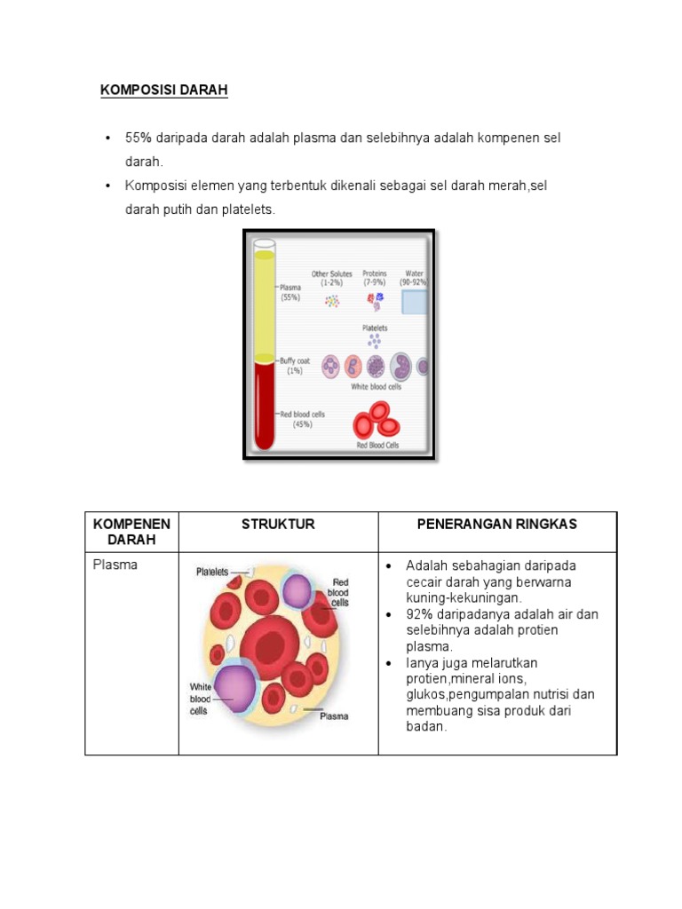 Komposisi Darah Pdf