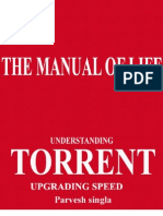 Upgrading Torrent Speed