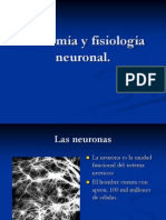 Anatomía y Fisiología Neuronal