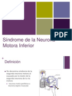 Sindrome de Motoneurona Inferior