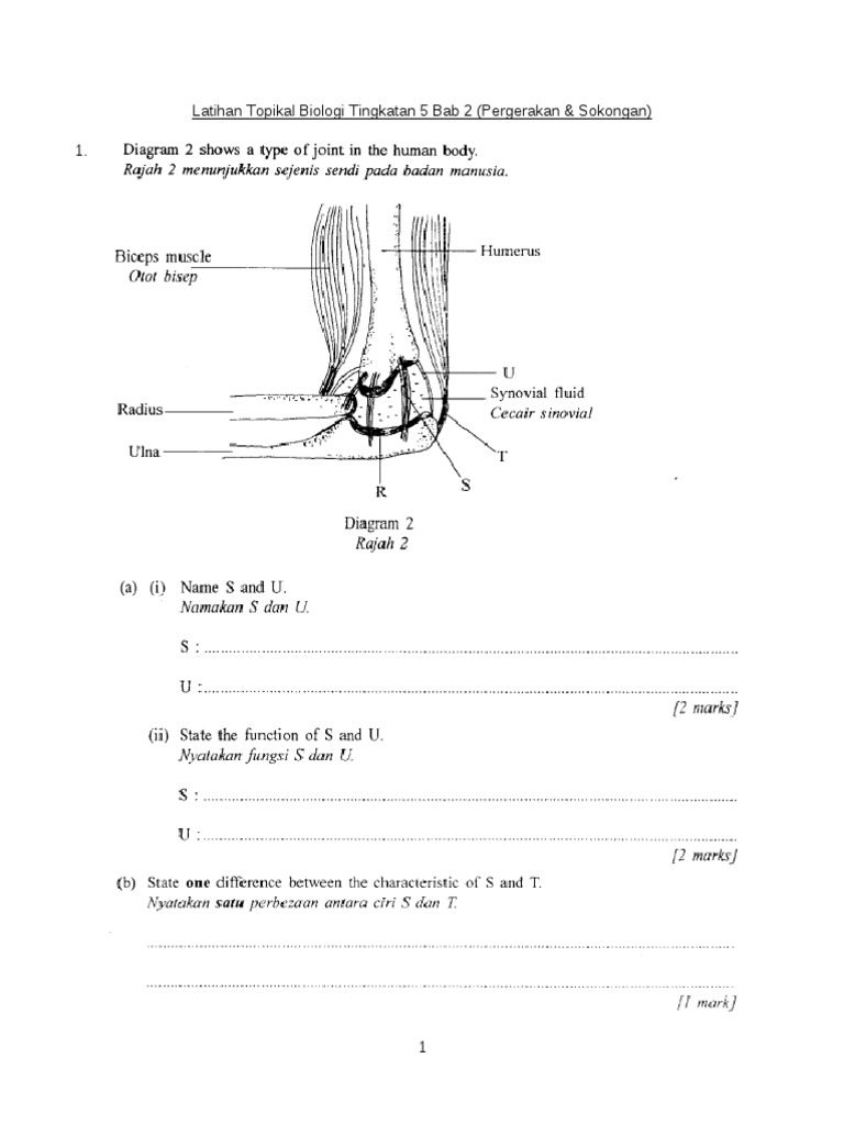 Soalan Kertas 1 Biologi Tingkatan 4 Bab 2 - Tersoal o