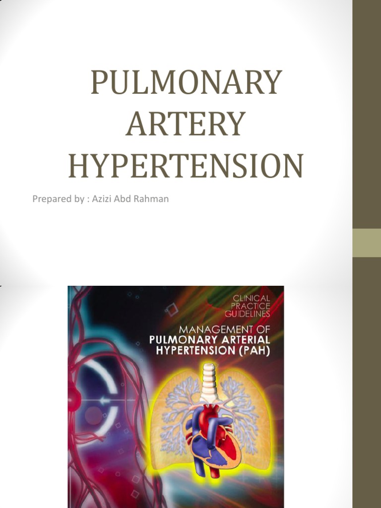 Understanding Pulmonary Artery Hypertension | PDF | Heart Failure ...