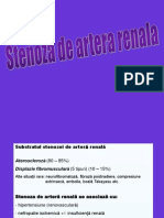 Stenoza de Artera Renala Curs