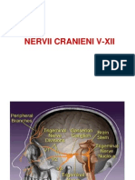 e.nervii Cranieni v-xii