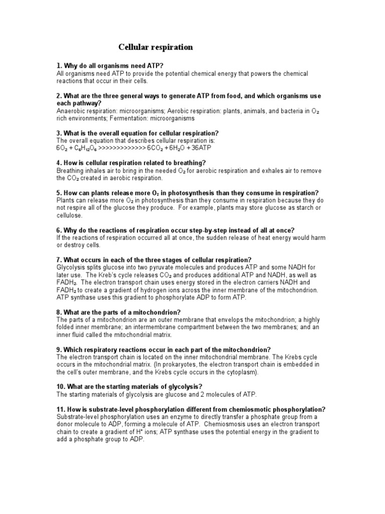 Project analyzing cellular respiration picture