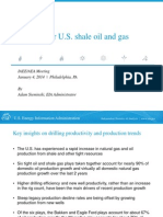 Us Shale Oil and Gas