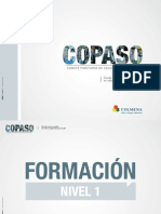 Cartilla Copaso PDF