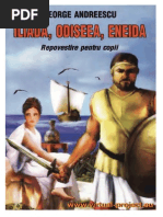 Iliada Rezumat Pe Canturi