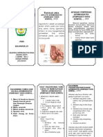 Leaflet Apendisitis