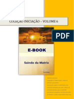 Saindo Da Matrix PDF