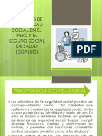 Principios de Seguridad Social