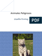 Animales Peligrosos