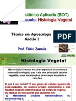 3. Histologia Vegetal