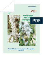 Bulletin Mealybugs (English)