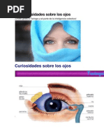 50 Curiosidades de Los Ojos
