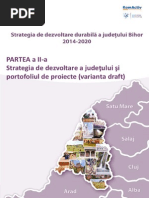 Strategia de Dezvoltare A Judetului Bihor